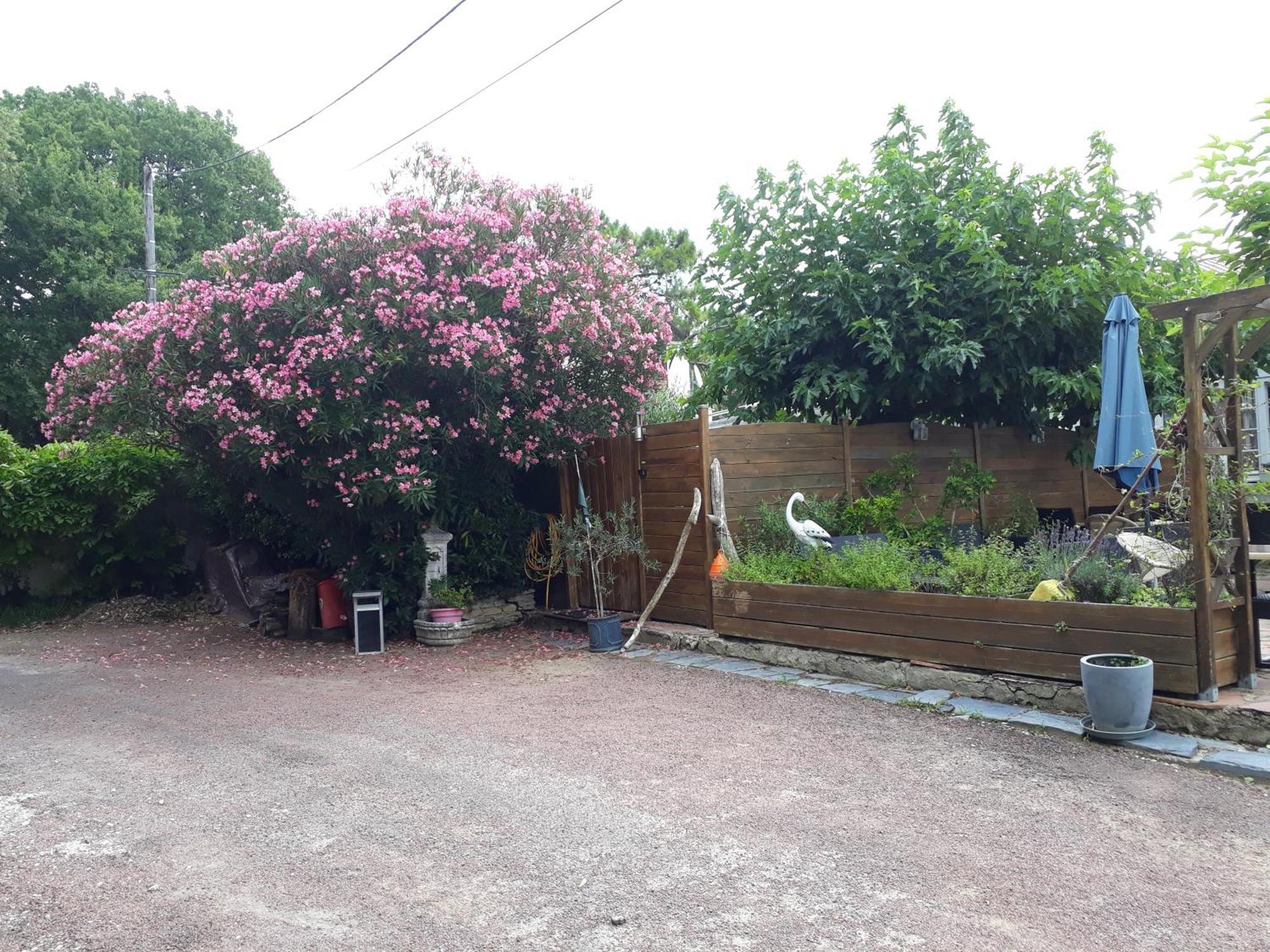 Residence Fleur Des Pins - Gites & Chambres D'Hotes Saint-Georges-d'Oleron Bagian luar foto